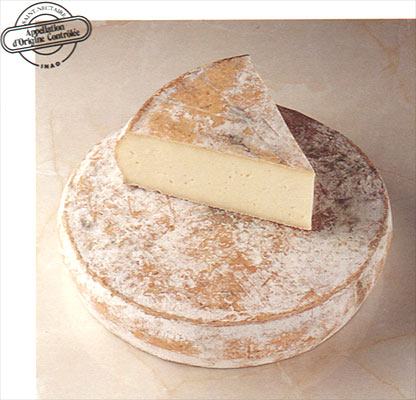 Saint Nectaire fromage